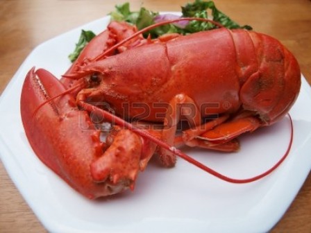 5335313-photo-d-un-homard-du-maine-qui-a-ete-cuit-a-la-vapeur-jusqu-a-ce-rouge-sur-une-assiette-blanche-avec.jpg